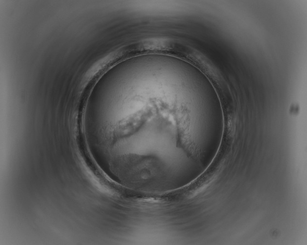 X0000093520725200710121544