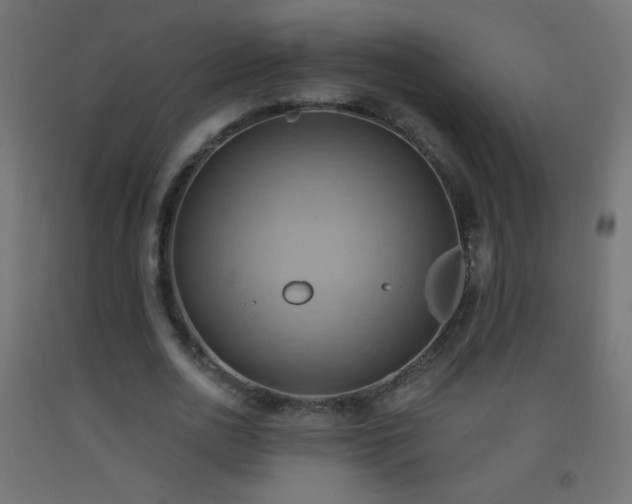 X0000093520726200710121544