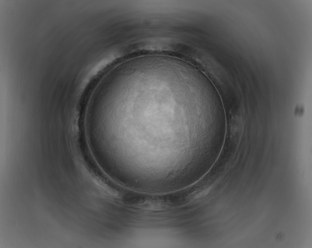 X0000093520727200710121544