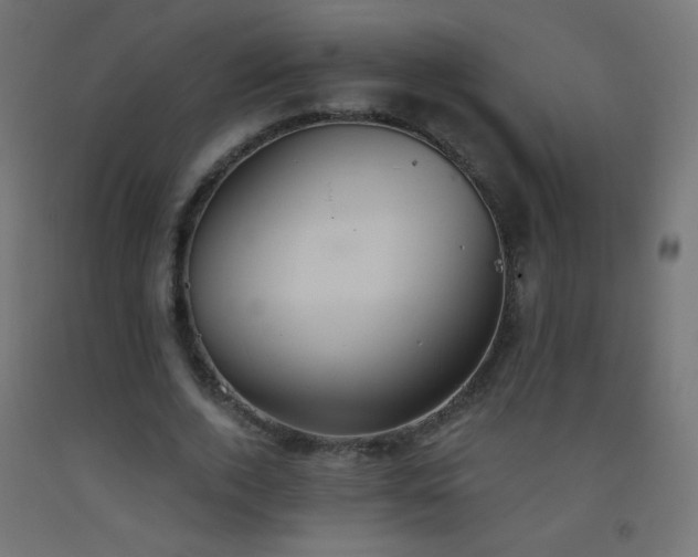 X0000093520728200710121544