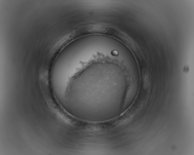 X0000093520729200710121544