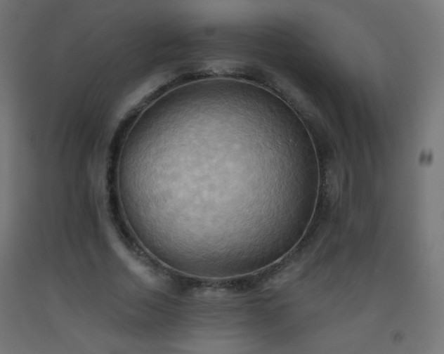 X0000093520730200710121544