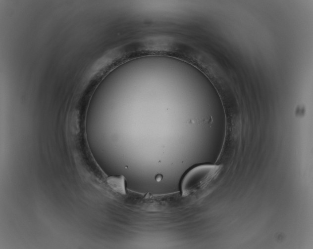 X0000093520731200710121544
