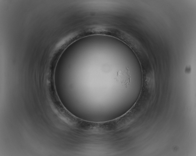 X0000093520732200710121544