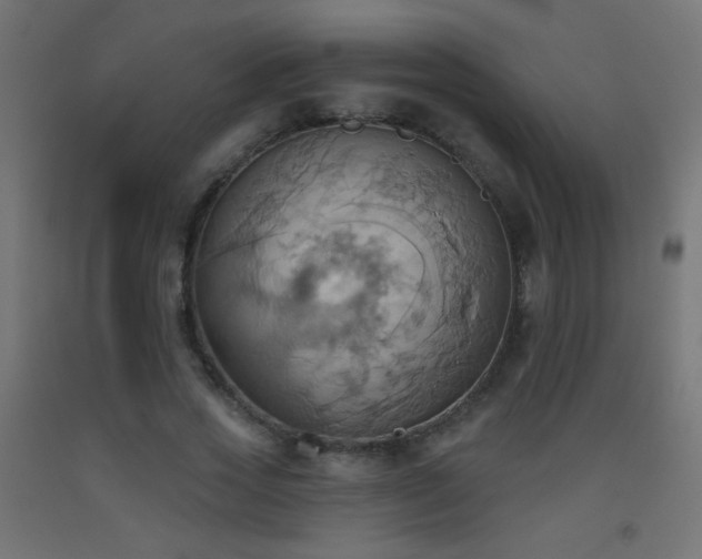 X0000093520733200710121544