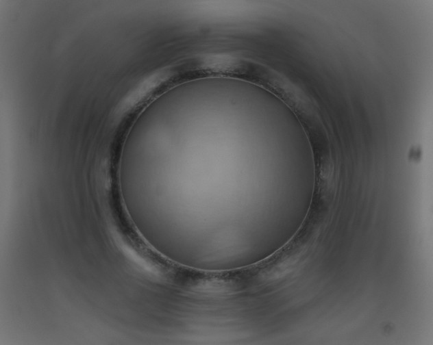 X0000093520734200710121544