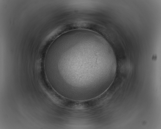 X0000093520735200710121544