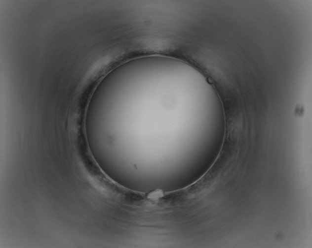 X0000093520736200710121544