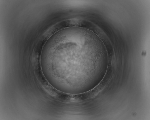X0000093520737200710121544