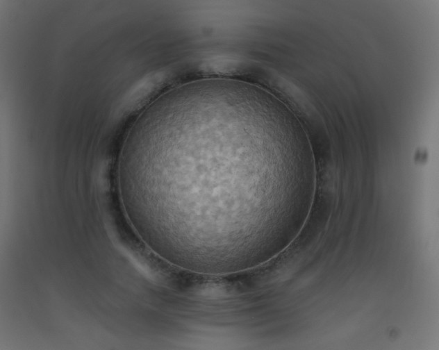X0000093520738200710121544
