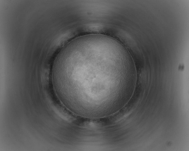 X0000093520739200710121544