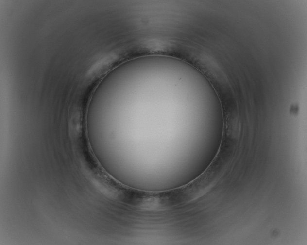 X0000093520740200710121544