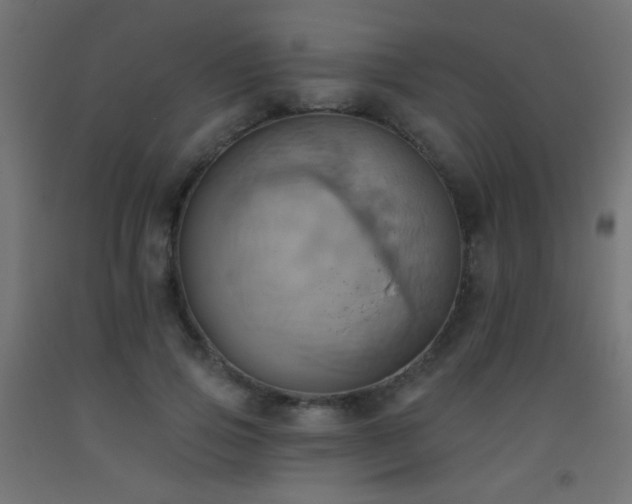 X0000093520741200710121544