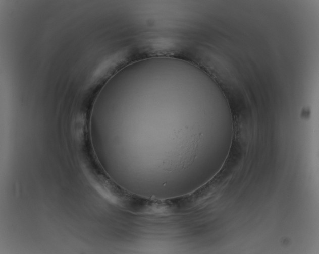 X0000093520742200710121544