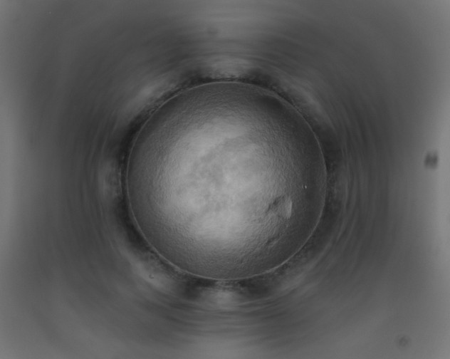 X0000093520743200710121544
