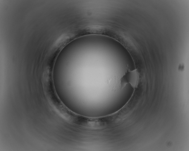 X0000093520744200710121544