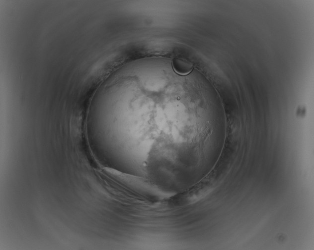 X0000093520745200710121544