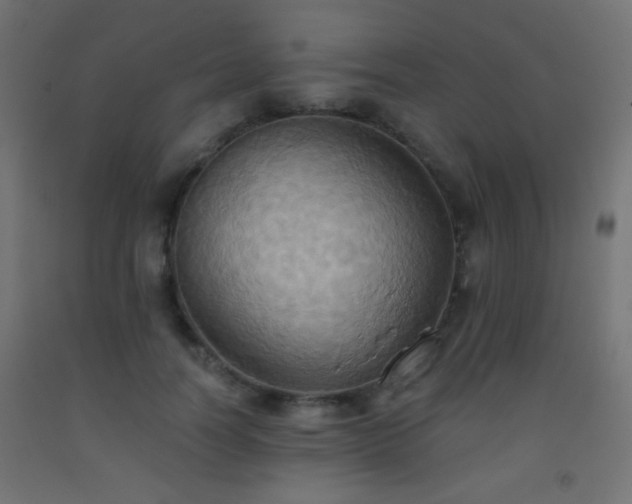 X0000093520746200710121544