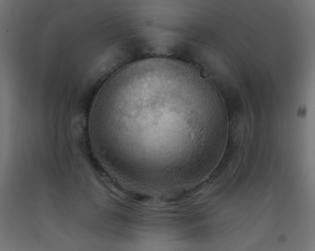 X0000093520747200710121544