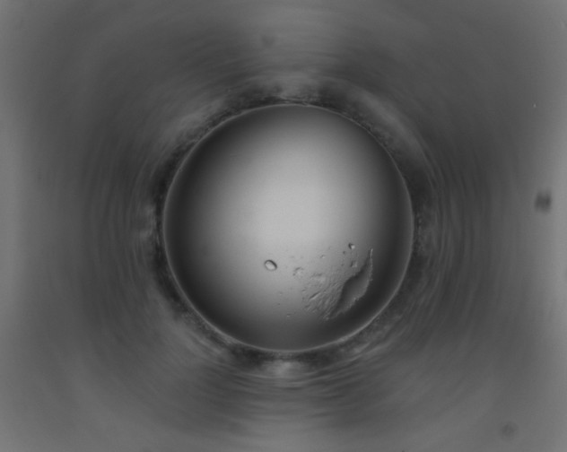 X0000093520748200710121544