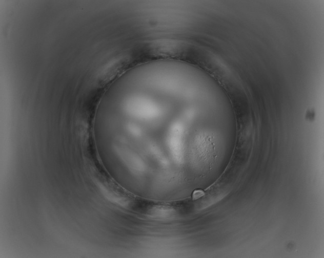 X0000093520749200710121544