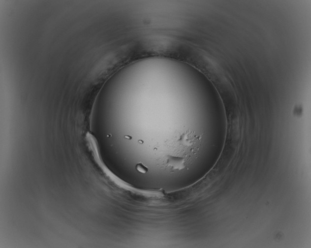 X0000093520750200710121544