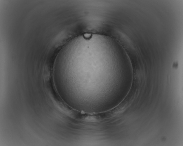 X0000093520751200710121544