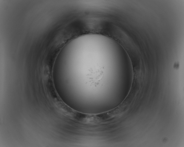 X0000093520752200710121544