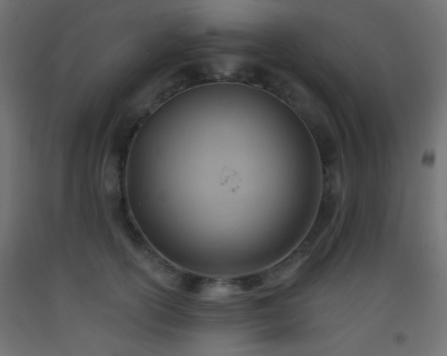 X0000093520754200710121544