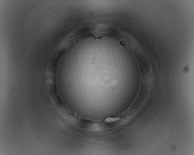 X0000093520755200710121544