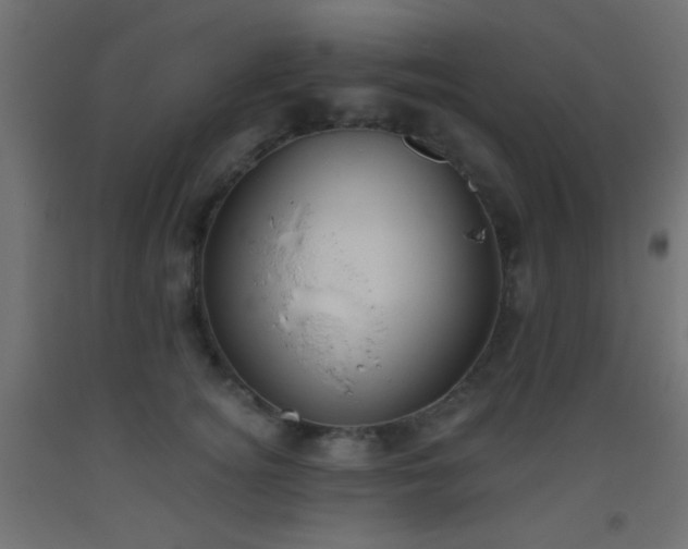 X0000093520756200710121545