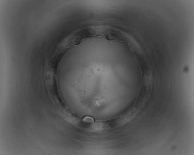 X0000093520757200710121545