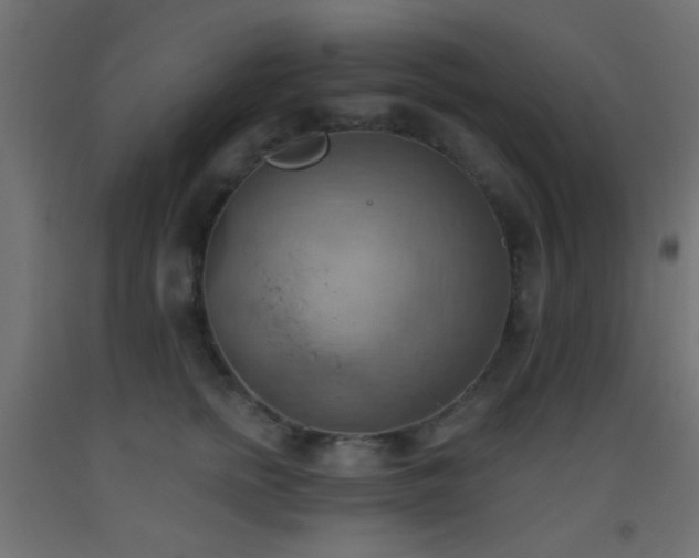X0000093520758200710121545