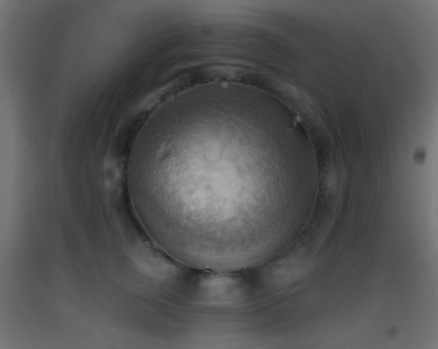 X0000093520759200710121545