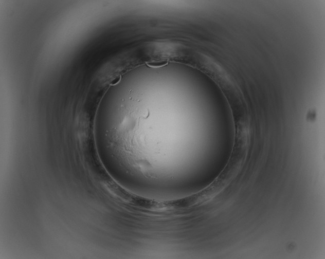X0000093520760200710121545