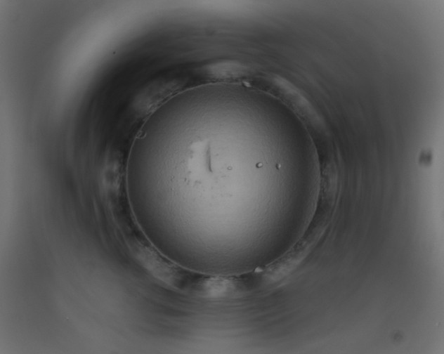 X0000093520762200710121545