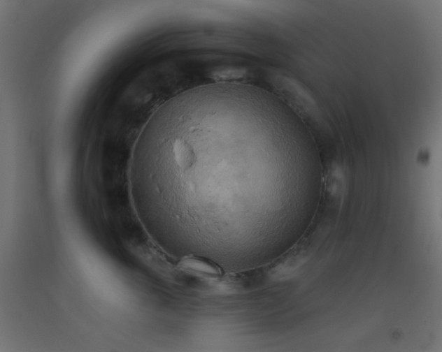 X0000093520763200710121545