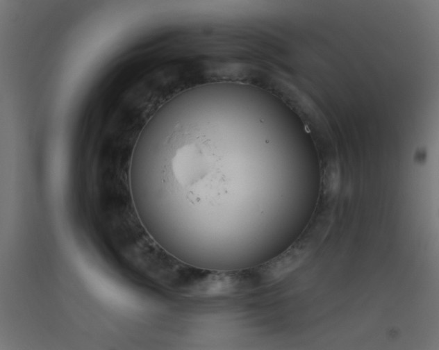 X0000093520764200710121545
