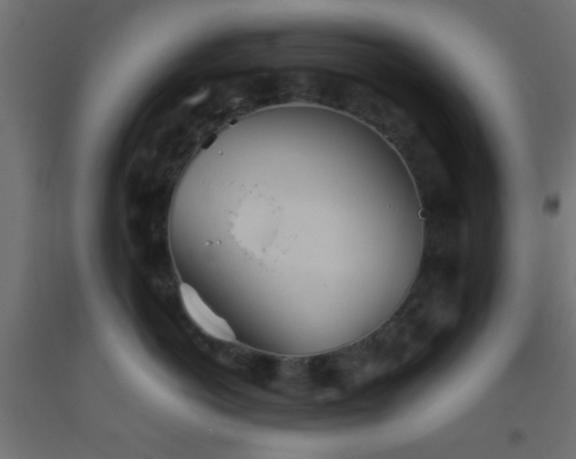 X0000093520766200710121545