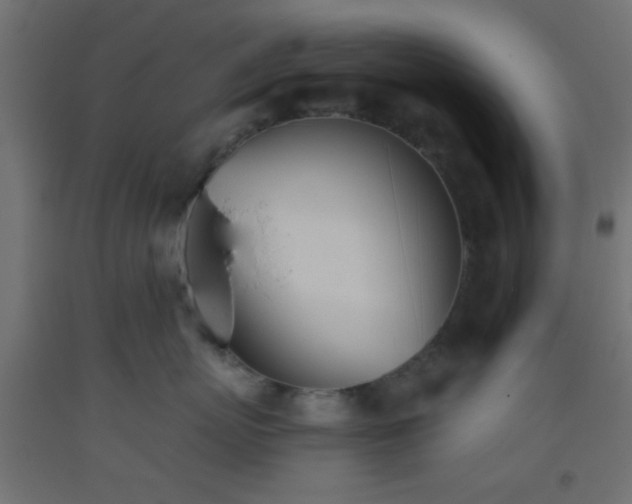 X0000093520767200710121545