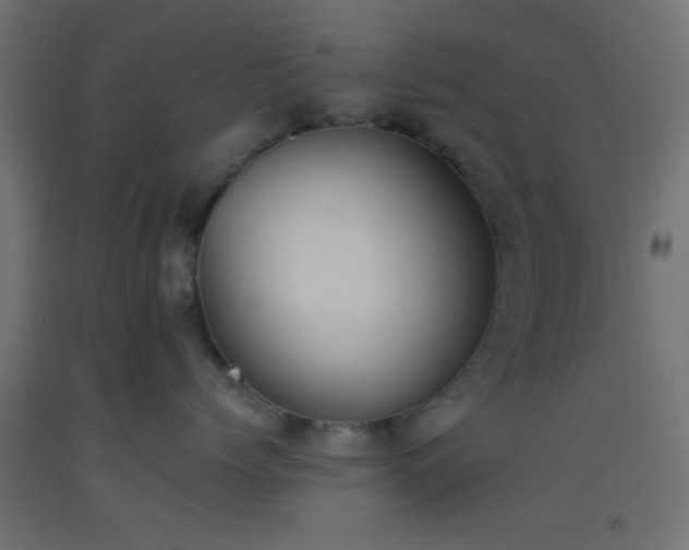 X0000093520768200710121545