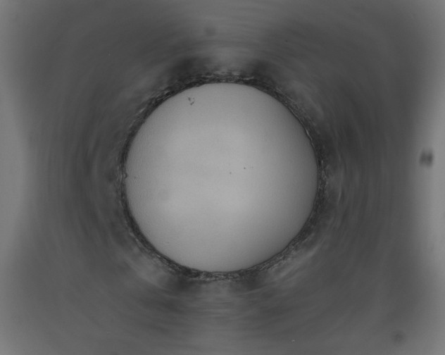 X0000093520769200710121544