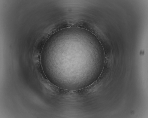 X0000093520770200710121544