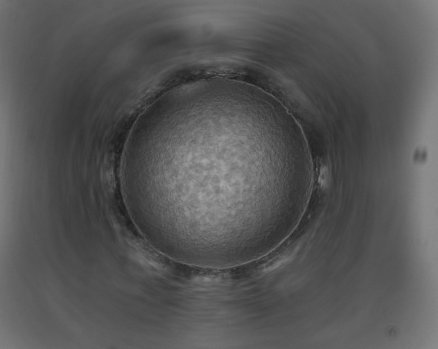 X0000093520771200710121544