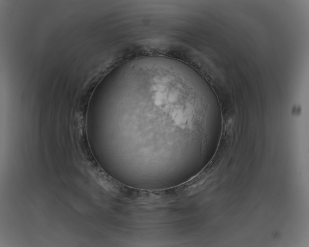 X0000093520772200710121544