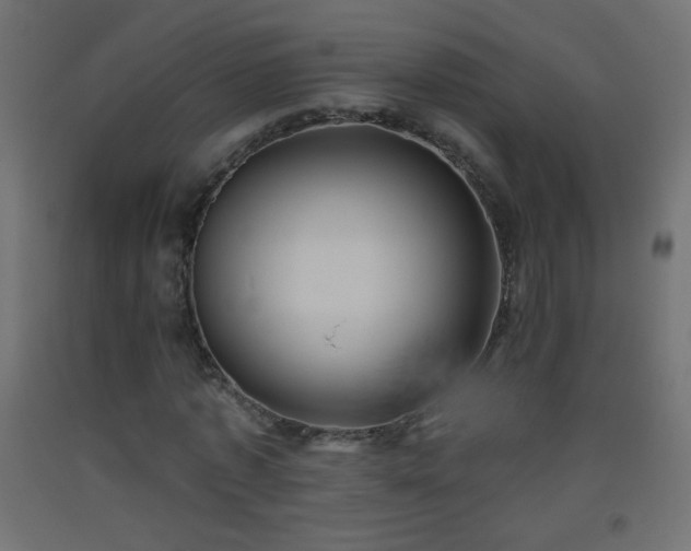 X0000093520773200710121544