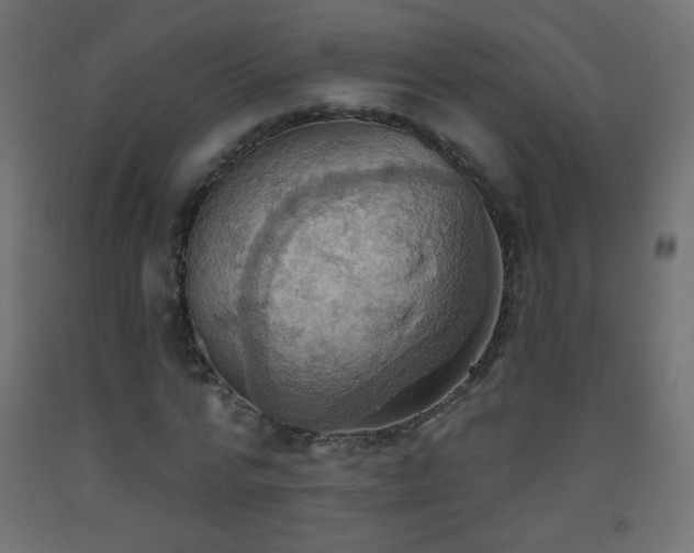 X0000093520776200710121544