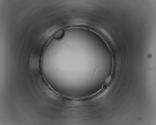 X0000093520777200710121544