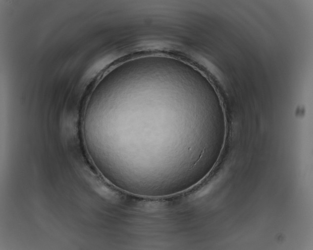 X0000093520778200710121544