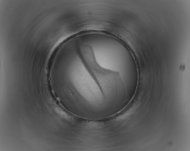 X0000093520779200710121544